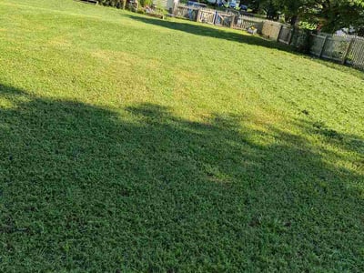 Lawn care service in Chester, 23836