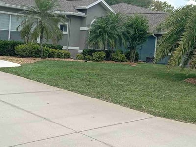 Lawn care service in Ormond Beach, 32174