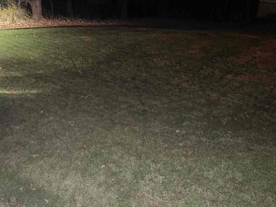 Lawn care service in , 