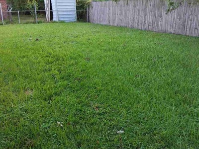 Lawn care service in New Orleans, 70127
