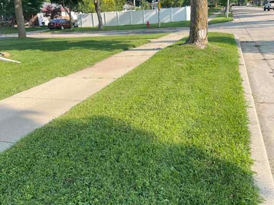 Lawn care service in Milwaukee, 53207