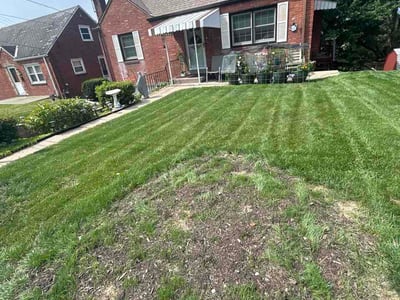 Lawn care service in Pittsburgh, 15214