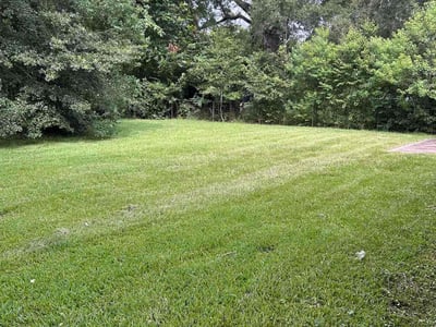 Lawn care service in Baton Rouge, 70812