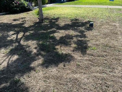 Lawn care service in Burbank, 91506