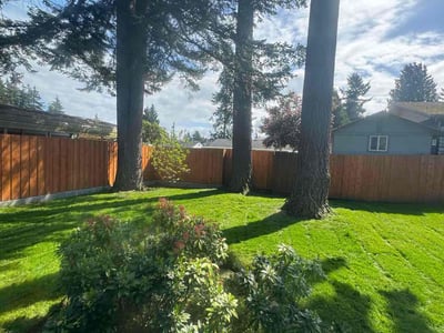 Lawn care service in Everett, 98203