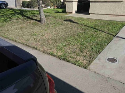 Lawn care service in Elk Grove, 95758