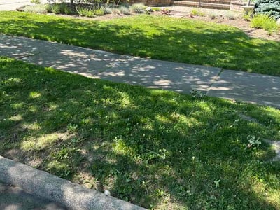 Lawn care service in Cleveland Heights, 44118