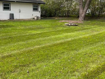 Lawn care service in Lindenhurst, 60046