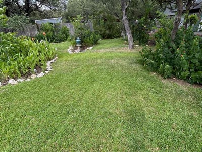 Lawn care service in Cedar Park, 78613
