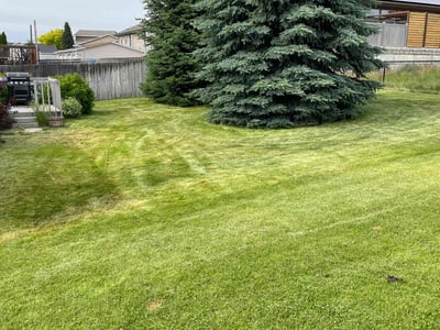 Lawn care service in Spokane, 99208