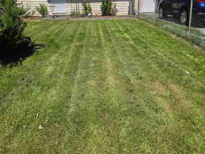Lawn care service in Portland, 97236