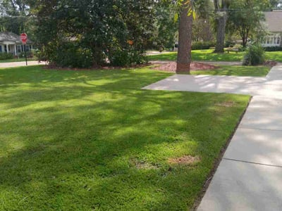 Lawn care service in Jackson, 39202