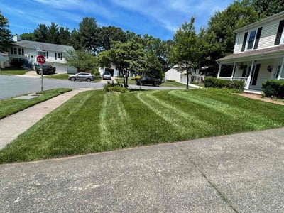 Lawn care service in Herndon, 20170