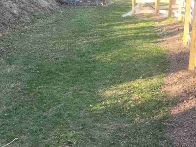 Lawn care service in Chattanooga, 37412