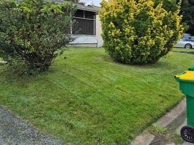Lawn care service in Wilmington, 19804