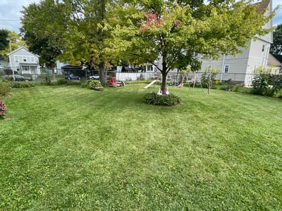 Lawn care service in Milwaukee, 53205