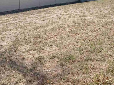 Lawn care service in San Antonio, 78245
