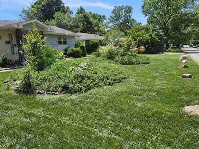 Lawn care service in Springfield, 65804