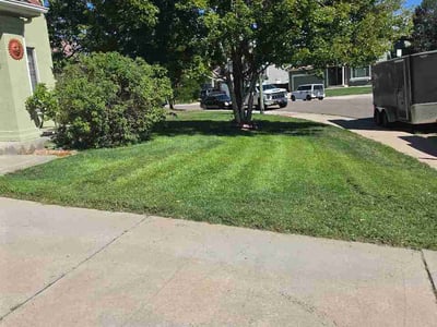 Lawn care service in Denver, 80249