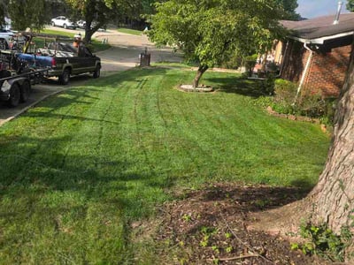 Lawn care service in Charleston, 25314