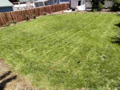 Lawn care service in Denver, 80210