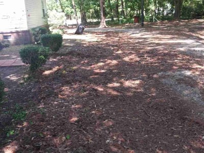 Lawn care service in Charleston, 29412