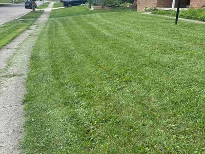 Lawn care service in Columbus, 43229