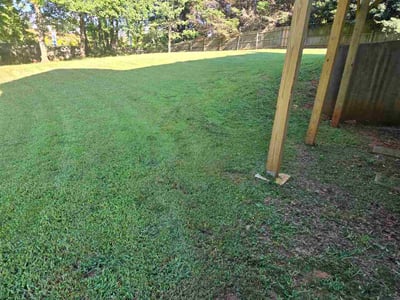 Lawn care service in Buford, 30519