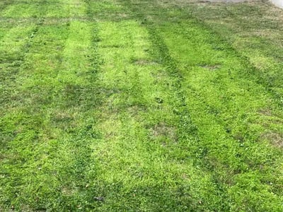 Lawn care service in Leander, 78641