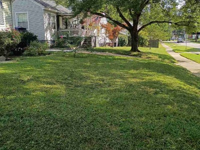 Lawn care service in Louisville, 40215
