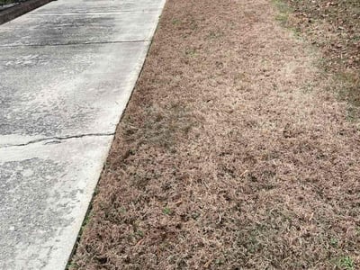 Lawn care service in Burlington, 27217