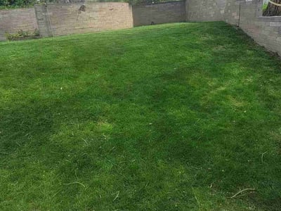 Lawn care service in North Salt Lake, 84054