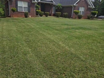 Lawn care service in McDonough, 30253