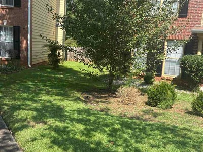 Lawn care service in Stone Mountain, 30087