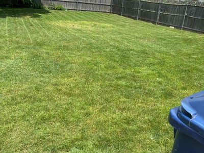 Lawn care service in Warwick, 02888