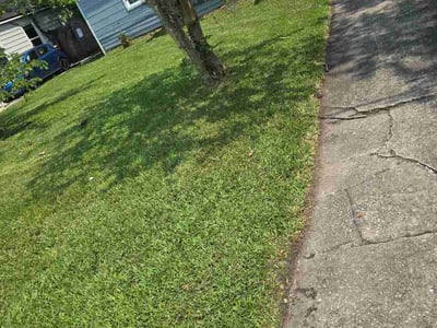 Lawn care service in Jacksonville, 32210