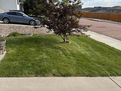 Lawn care service in Colorado Springs, 80911