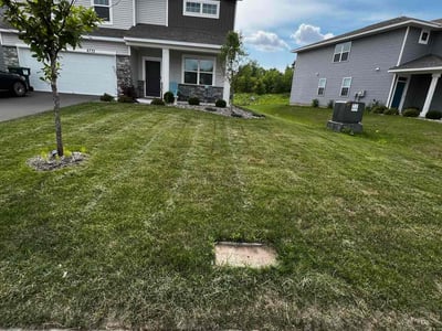 Lawn care service in Cottage Grove, 55016