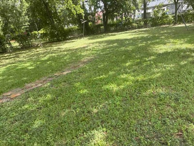 Lawn care service in Dallas, 75216