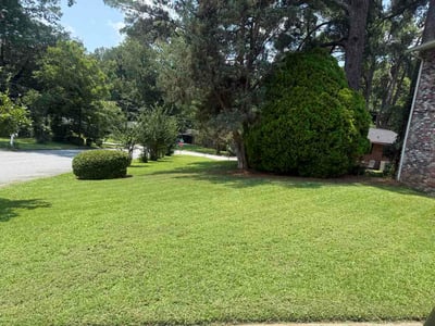 Lawn care service in Atlanta, 30318