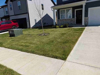 Lawn care service in Louisville, 40245