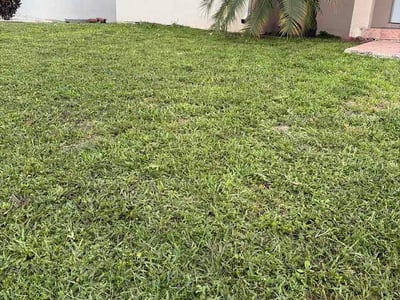 Lawn care service in Dania Beach, 33004