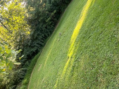 Lawn care service in Atlanta, 30331