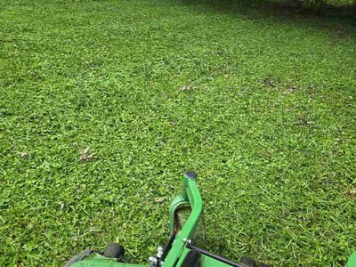 Lawn care service in Des Moines, 50315