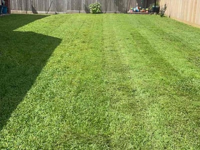 Lawn care service in Spring, 77388