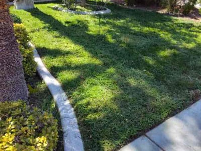 Lawn care service in Las Vegas, 89139