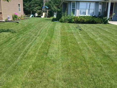 Lawn care service in Menomonee Falls, 53051