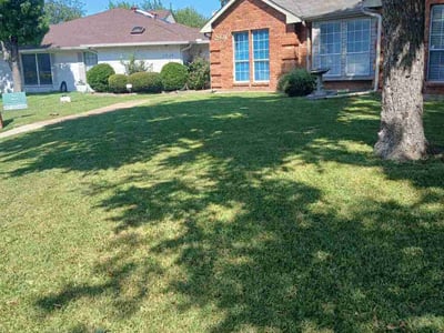 Lawn care service in Dallas, 75229