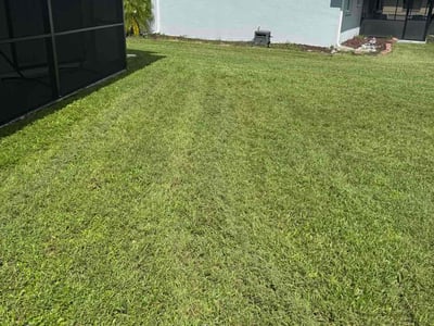 Lawn care service in Cape Coral, 33990