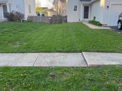 Lawn care service in Joliet, 60435
